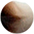 Gray/Brown
